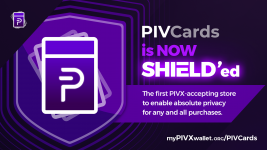 PIVCards Shielded Rectangle-min.png