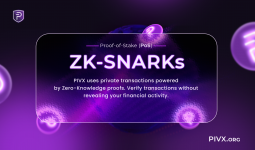PIVX-flyer90.png
