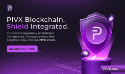 PIVX-flyer91.png
