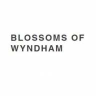 blossomofwyndham